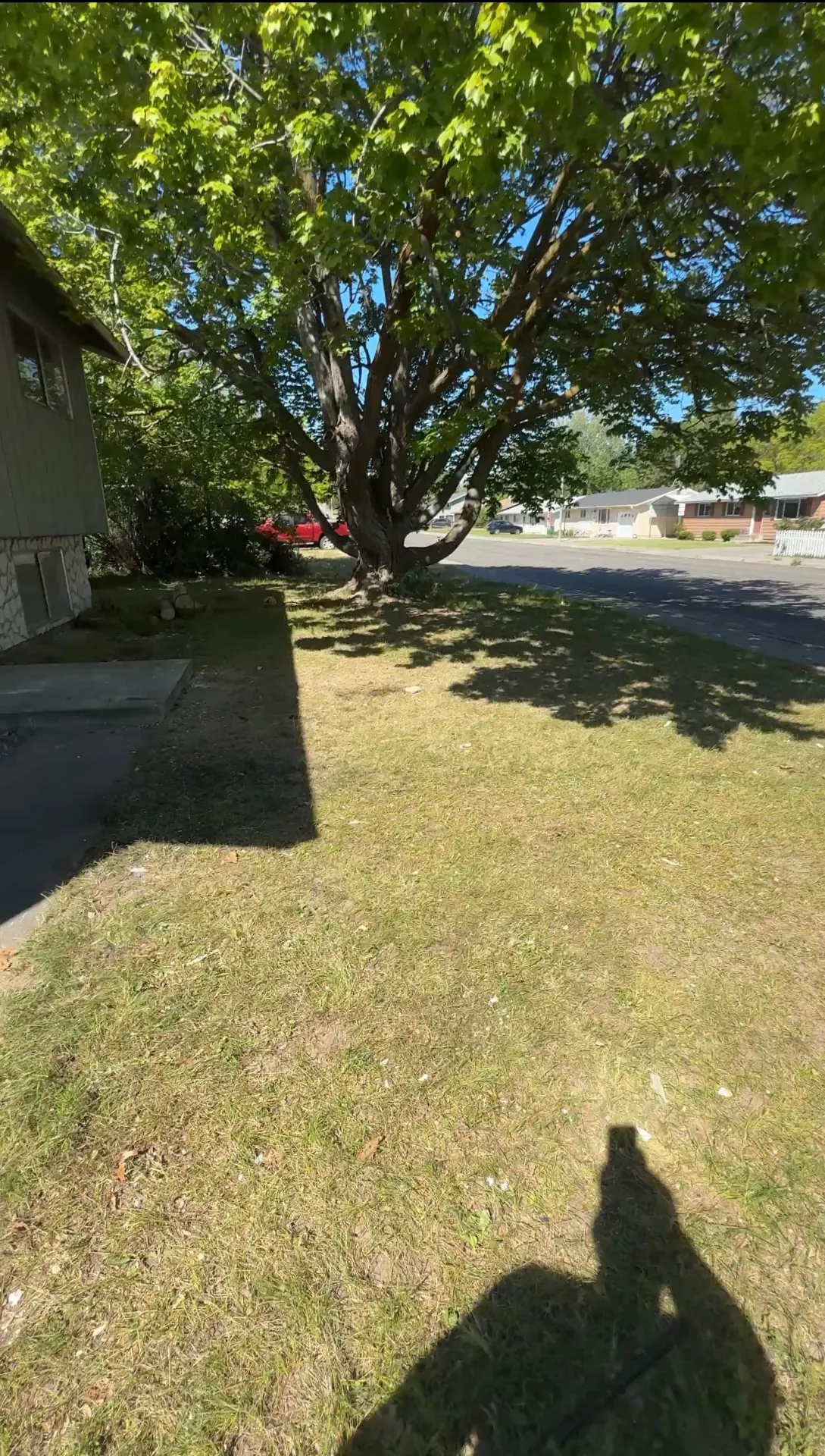 Front Yard Pile Cleared — after