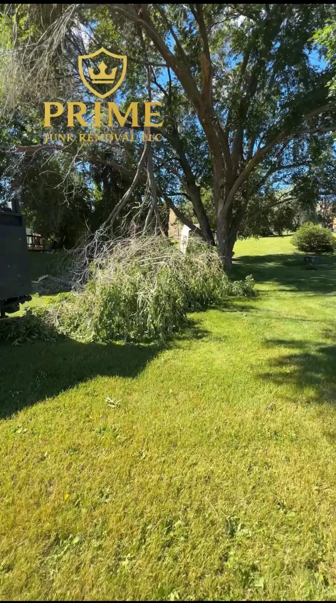 Tree Limb & Branch Removal